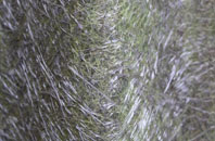 Bedale fibreglass roof work